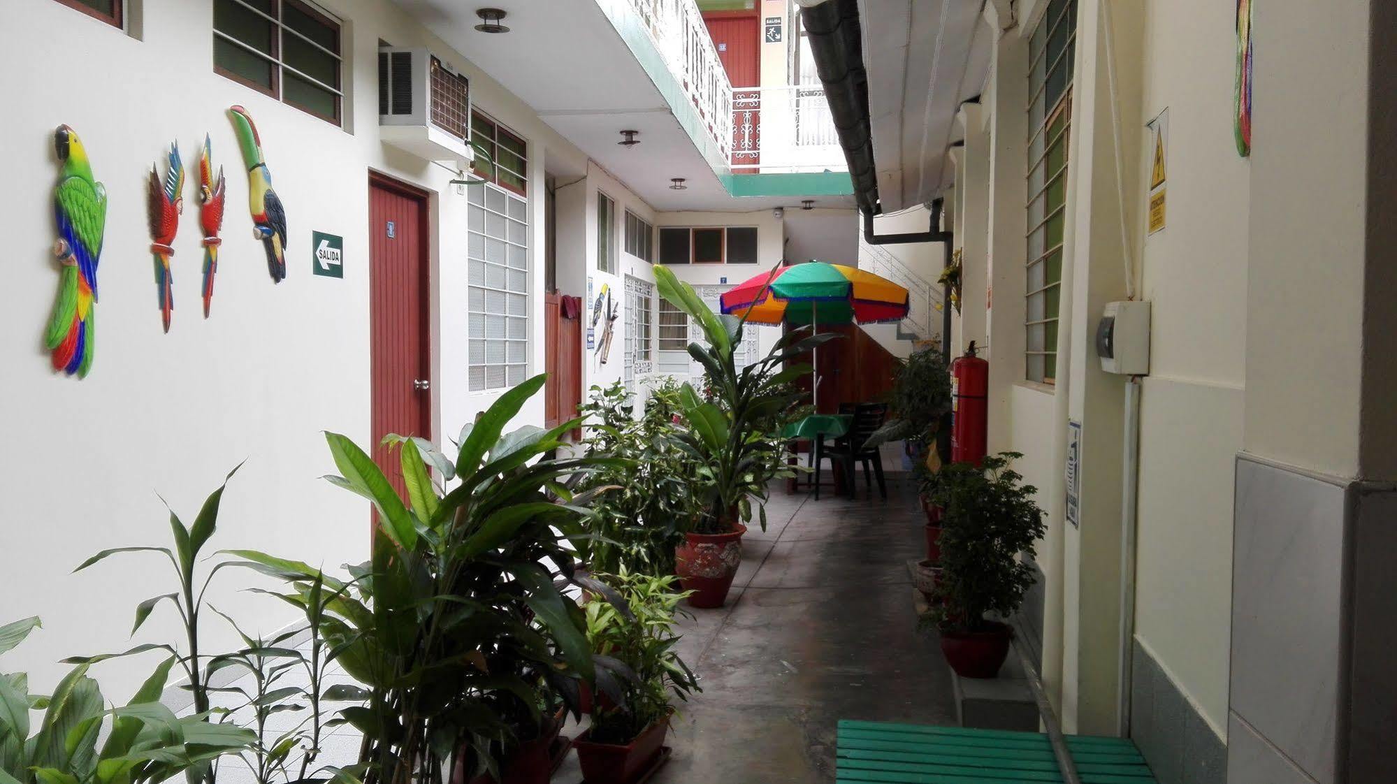 Hostal El Colibri Iquitos Dış mekan fotoğraf